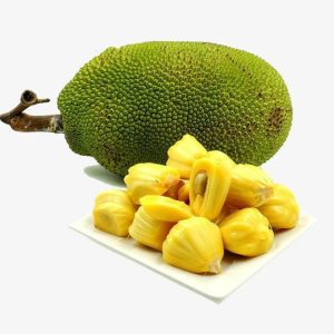 بذر میوه جک فروت | Jackfruit seed