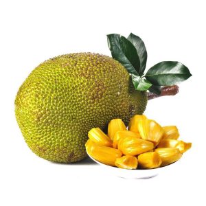 بذر میوه جک فروت | Jackfruit seed