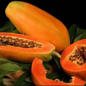 بذر پاپایا واریته هلند | papaya varieties holland seed