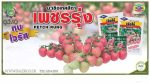 بذر گوجه فرنگی F1 واریته پچ رانگ یا الماس پله | F1 HYBRID TOMATO PECH RUNG