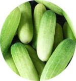 بذر خیار سفید زمرد | white jade cucumber | White Emerald Cucumber Seed