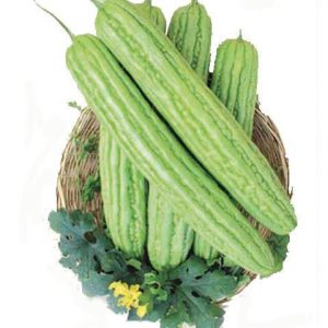 بذر خیار چنبر تلخ | کدو تلخ چینی | Momordica charantia