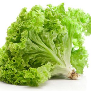 بذر کاهو فر سبز سالادی گراند رپیدز | Grand Rapids Lettuce
