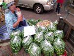 بذر خربزه راه راه تایلندی | Tahi Melon Sreed