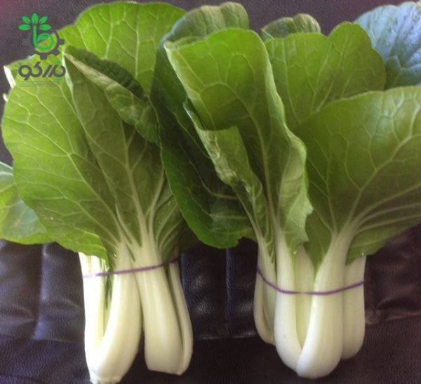 بذر کلم پاک چوی یا بوک چوی ساقه سفید | White Pak Choi