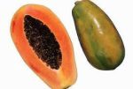 بذر پاپایا رد لیدی | papaya red lady tree seed