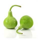 بذر کدو قلیانی نامتاو یا کدو بمبی | NAMTAO SL SPECIAL SELECTION BOTTLE GOURD