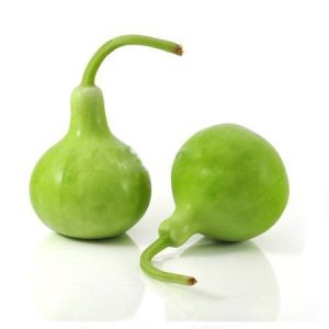 بذر کدو قلیانی نامتاو یا کدو بمبی | NAMTAO SL SPECIAL SELECTION BOTTLE GOURD