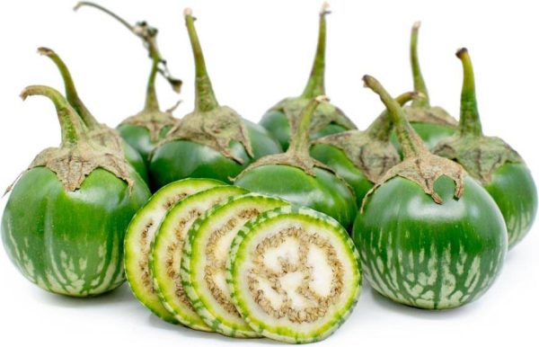 بذر بادمجان سبز کرمیت قورباغه | Kermit F1 Eggplant Seed