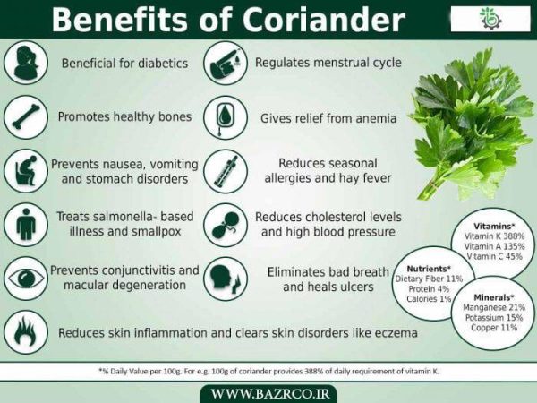 بذر گشنیز واریته شت دیپ | SHAT THIP CORIANDER