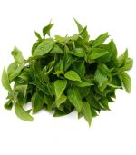 بذر ریحان شیرین هوراپا تایلندی | HORAPA SWEET BASIL