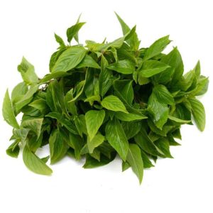 بذر ریحان شیرین هوراپا تایلندی | HORAPA SWEET BASIL