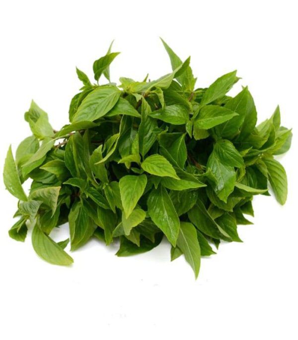 بذر ریحان شیرین هوراپا تایلندی | HORAPA SWEET BASIL