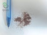 بذر کالانکوئه قاشقی | Kalanchoe blossfeldiana Seed