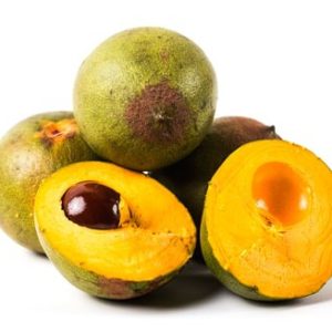 بذر میوه لوکوما | lucuma