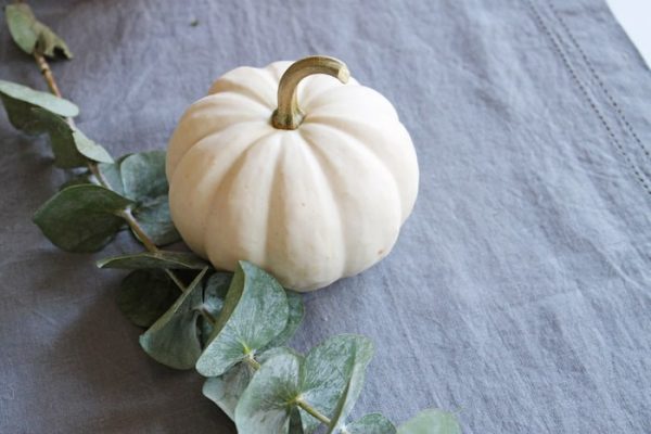 بذر کدو فانتزی تایلندی | fancy pumpkin