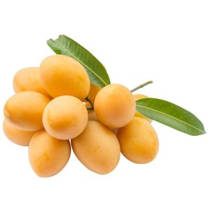 بذر میوه استوایی و کمیاب گاندریا | انبه ماریان | BOUEA GANDARIA