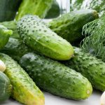 بذر خیار ترشی بوستون آمریکایی | PICKLING - BOSTON PICKLING