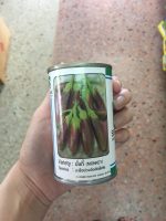 بذر بادمجان پر محصول بنفش واریته میمون | MONKEY SPECIAL SELECTION EGGPLANT