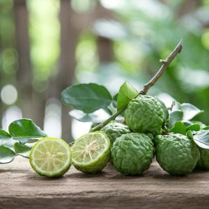 بذر لیمو کفیر ترش | kaffir lime