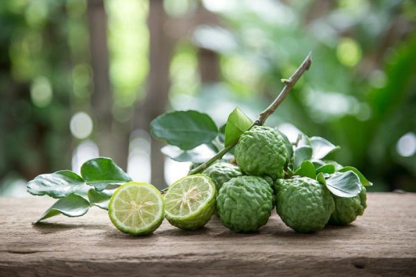 بذر لیمو کفیر ترش | kaffir lime