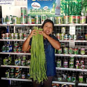 بذر لوبیا سبز غلاف بلند رقم  سن سووان | SENSUWAN YARD LONG BEAN