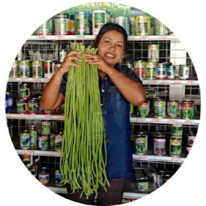 بذر لوبیا سبز غلاف بلند رقم  سن سووان | SENSUWAN YARD LONG BEAN