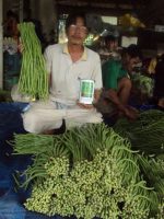 بذر لوبیا بلند نائتونگ | NUAETHONG 9 YARD LONG BEAN
