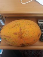 بذر پاپایا رویال استار | Papaya Royal Thai