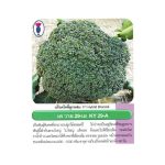 بذر کلم بروکلی سبز F1 HYBRID BROCCOLI KY29A