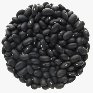 بذر لوبیا سیاه ارگانیک | black-bean seed