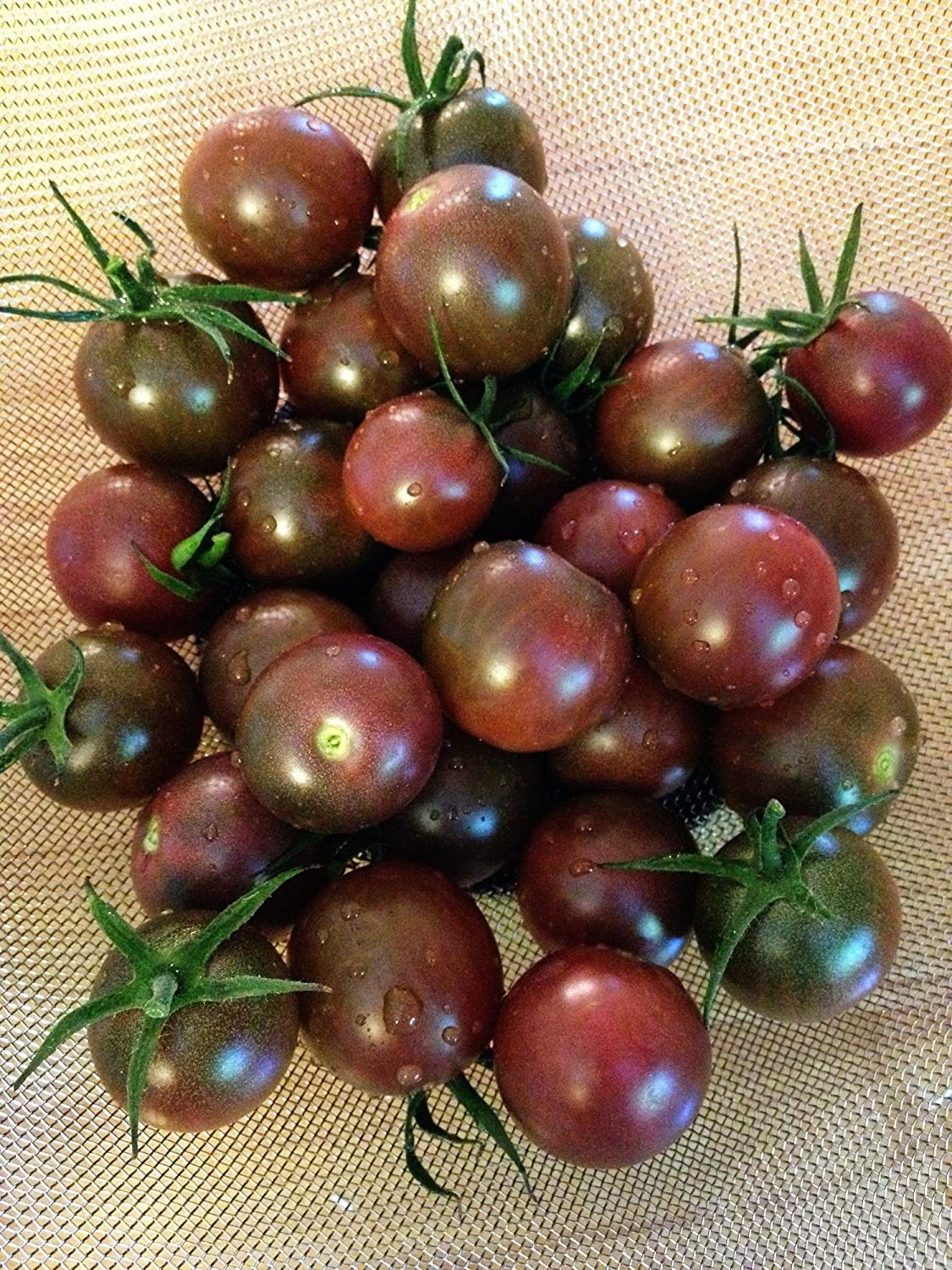 بذر گوجه فرنگی چری شکلاتی | TOMATO SEEDS CHOCOLATE CHERRY