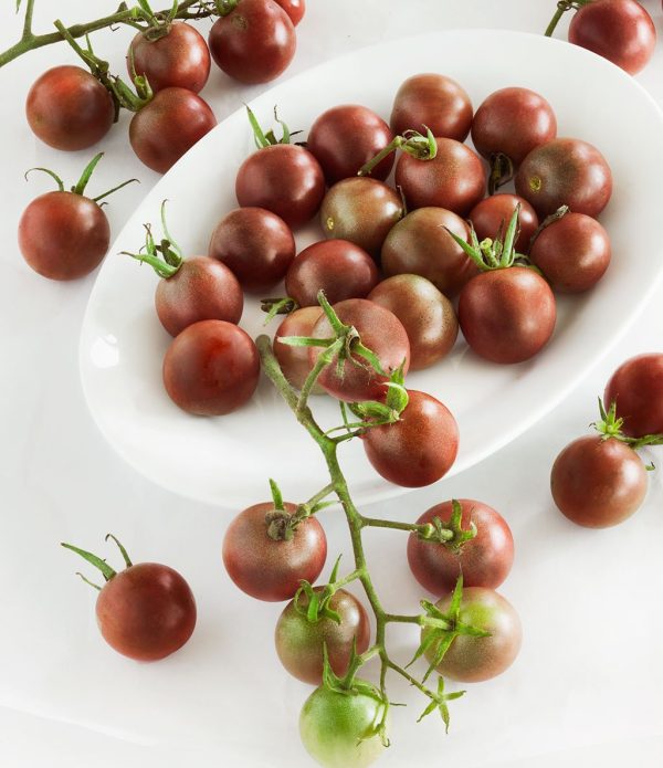 بذر گوجه فرنگی چری شکلاتی | TOMATO SEEDS CHOCOLATE CHERRY