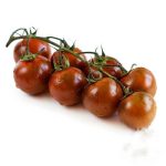 بذر گوجه فرنگی چری شکلاتی | TOMATO SEEDS CHOCOLATE CHERRY