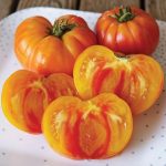 بذر گوجه فرنگی آناناسی ارگانیک | TOMATO SEEDS PINEAPPLE ORGANIC
