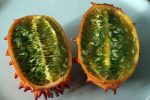 بذر میوه خربزه شاخ دار یا خیار آفریقایی (Horn Melon)
