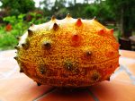 بذر میوه خربزه شاخ دار یا خیار آفریقایی (Horn Melon)