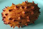 بذر میوه خربزه شاخ دار یا خیار آفریقایی (Horn Melon)