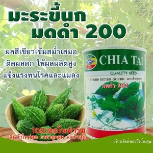 بذر کدو تلخ یا جگر زلیخا هیبرید F1 واریته ANT 200 HC از شرکت CHIA THAI