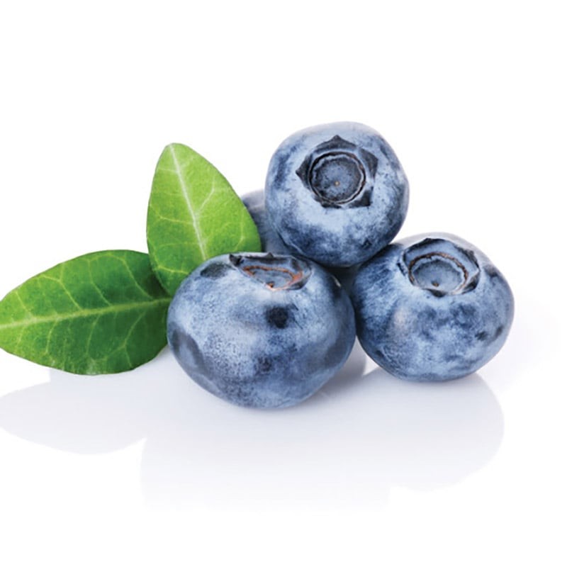 بذر بلوبری رقم بلوگلد Bluegold با میوه های شیرین و ملس بذر بلوبری رقم بلوگلد Bluegold با میوه های شیرین و ملس