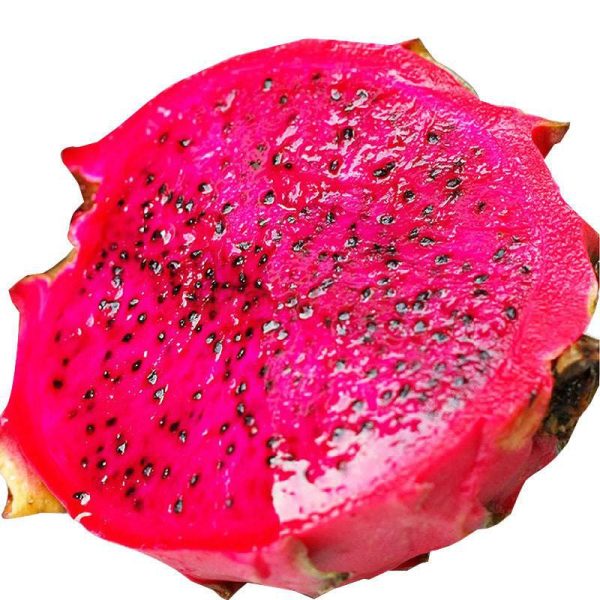 بذر دراگون فروت سفید | میوه اژدها | بذر پیتایا pitaya