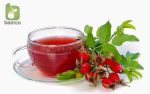 بذر گیاه زینتی و داروئی  Rosa canina (نسترن کوهی)